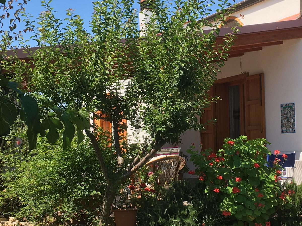 カステッランマーレ・デル・ゴルフォ Uliveto House Bed & Breakfast エクステリア 写真